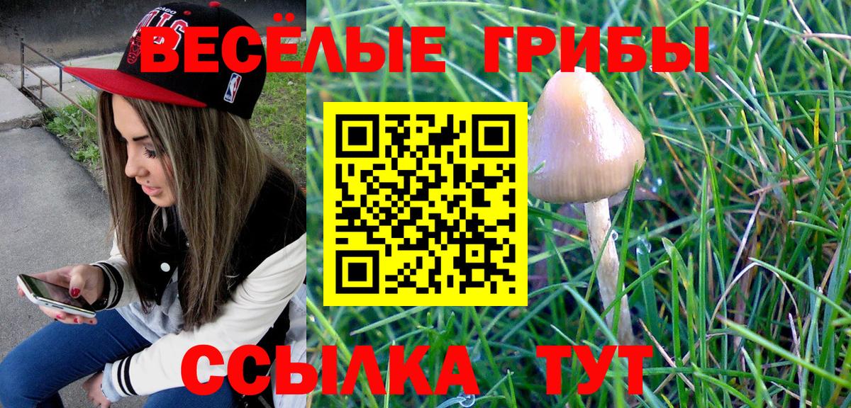 Галлюциногенные грибы Magic Shrooms Железноводск