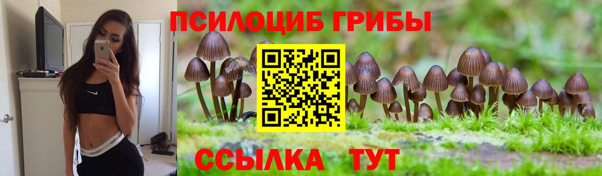 Галлюциногенные грибы мицелий  Вход с VPN  Железноводск 